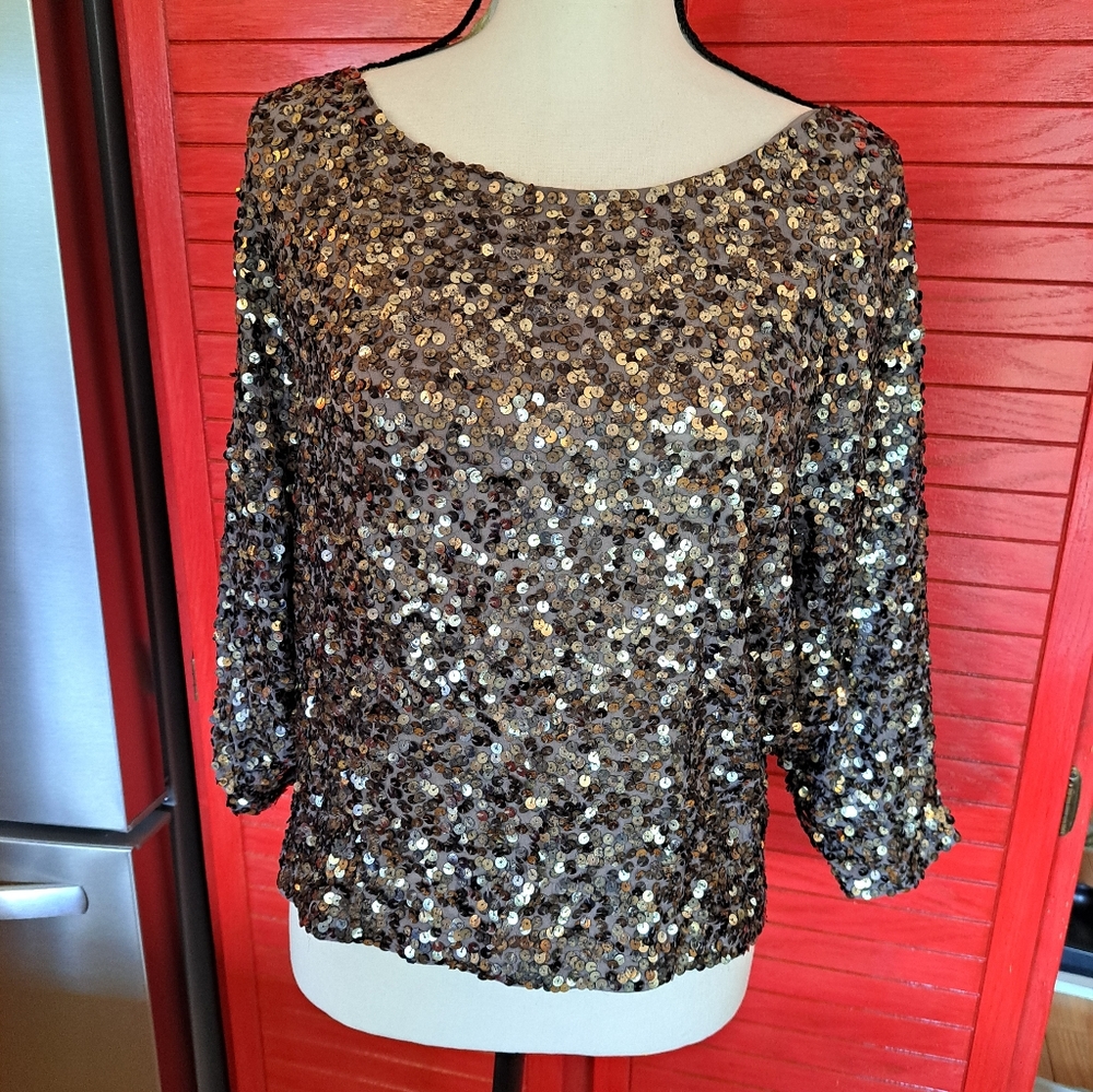 Vince Lined XS sequinned Pullover Holiday Dressy Top